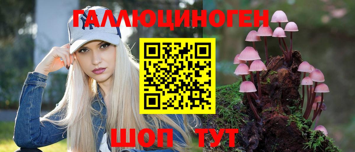 Галлюциногенные грибы Psilocybe Серпухов