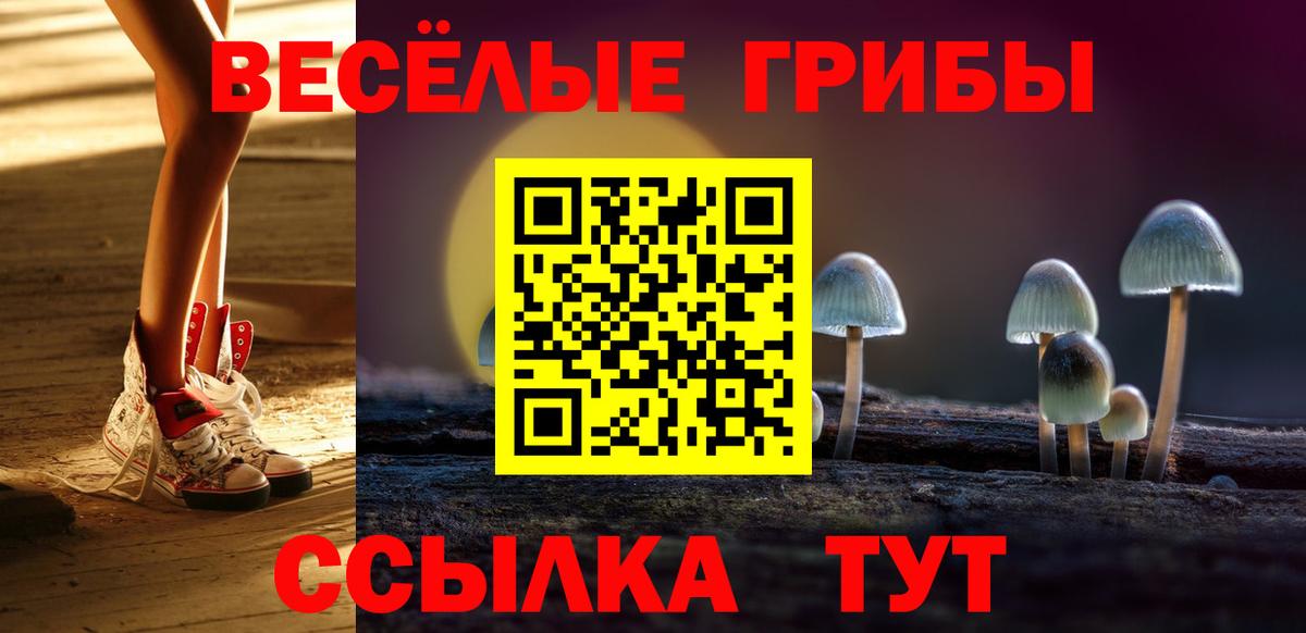 Серпухов  Галлюциногенные грибы прущие грибы  Вход с VPN  Галлюциногенные грибы Psilocybine cubensis 